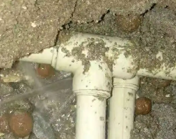 景洪测漏水多少钱