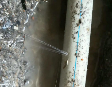 景洪测漏水哪家好